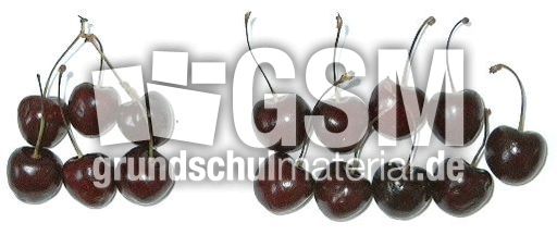 Kirschen6+9.jpg